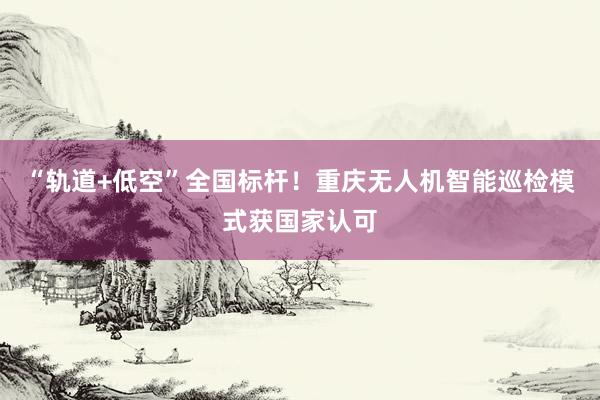 “轨道+低空”全国标杆！重庆无人机智能巡检模式获国家认可