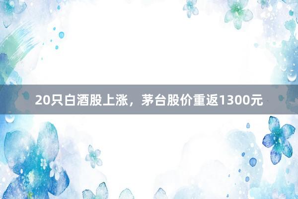 20只白酒股上涨，茅台股价重返1300元